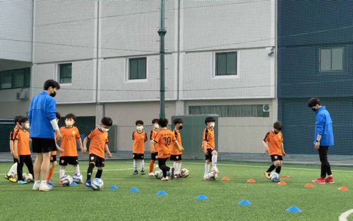 2인 코칭 시스템